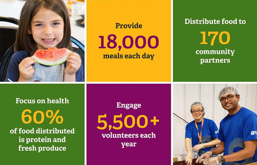 Food Gatherers statistics